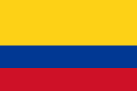 Servidor VPS, Servidor virtual privado, Datacenter propio, úbicado en Colombia