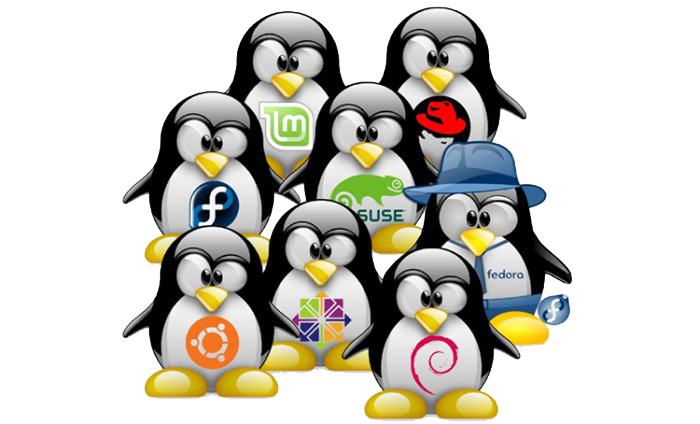 Servidor VPS, Servidor virtual privado, VPS Linux Servers